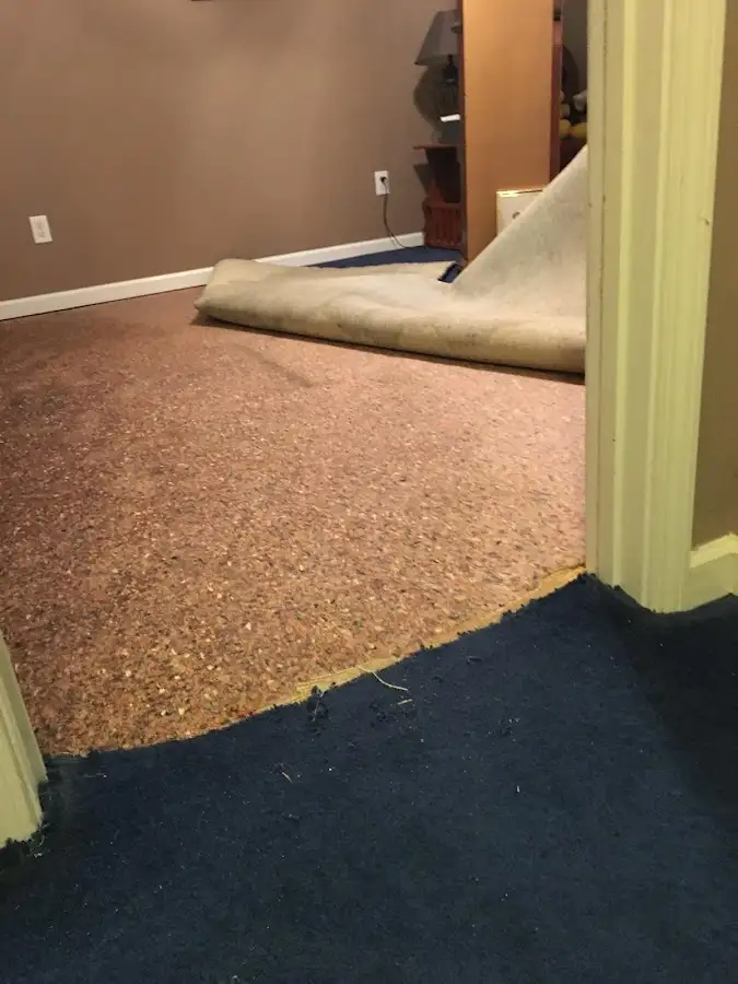Carpet pad removal revealing water damage during Drying & Dehumidification in Oak Point