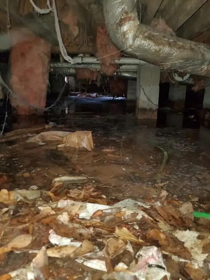 Crawl space flood assessment for Leak Detection & Repair in Oak Point