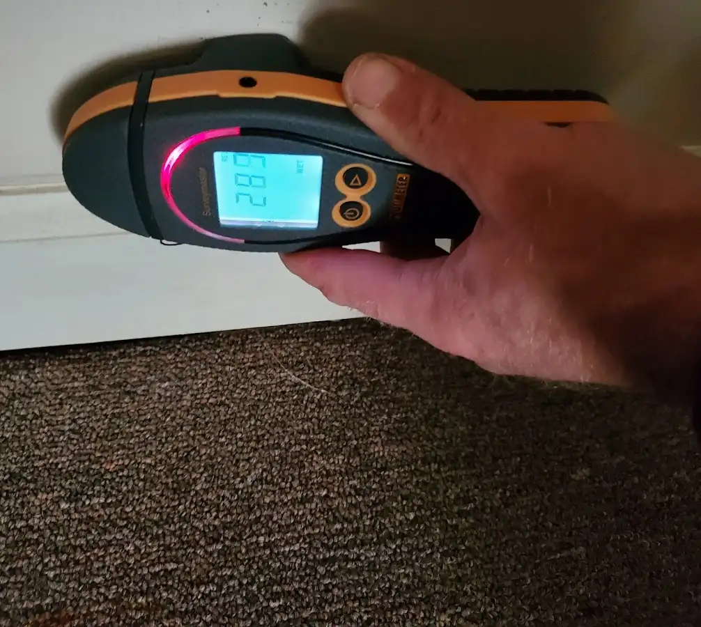 Moisture detection at baseboard during Sewage Cleanup & Sanitation in Oak Point